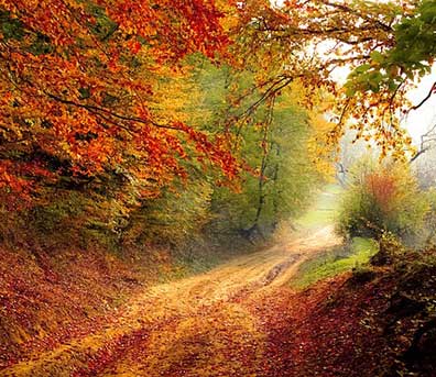 autunno per web