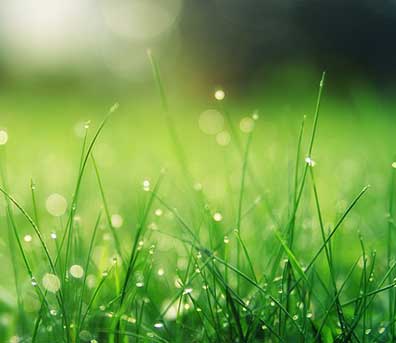 colore verde per web