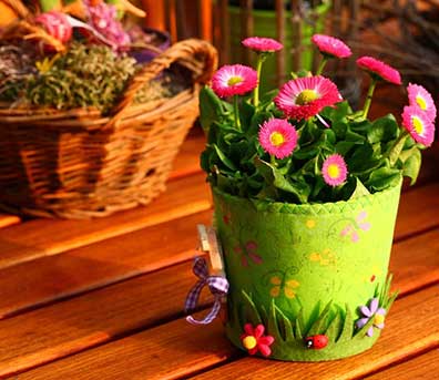primavera per web