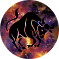 toro