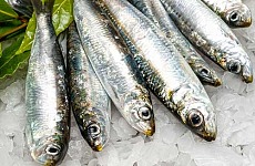 Ricetta sardine