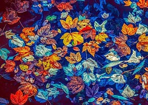 colori per web