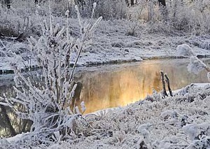 inverno 2 per web
