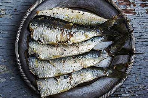 sardine per web